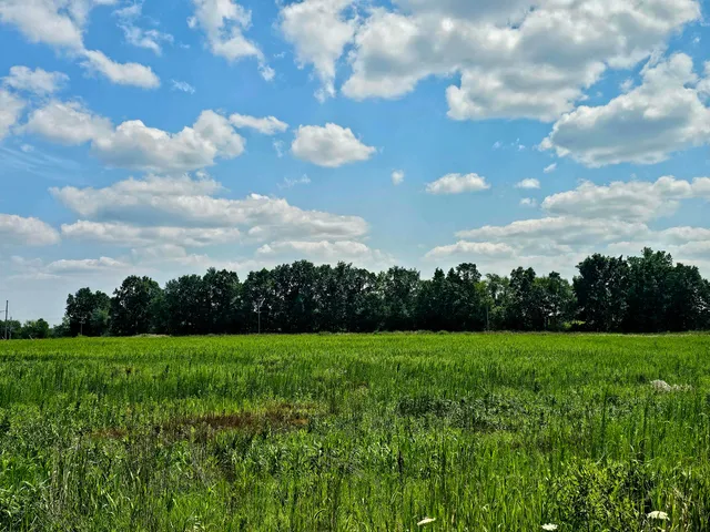 $1,850,000 | V/l West Carleton Road, Jonesville, MI 49250