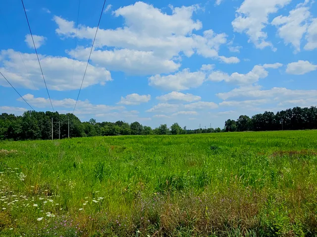 $1,850,000 | V/l West Carleton Road, Jonesville, MI 49250