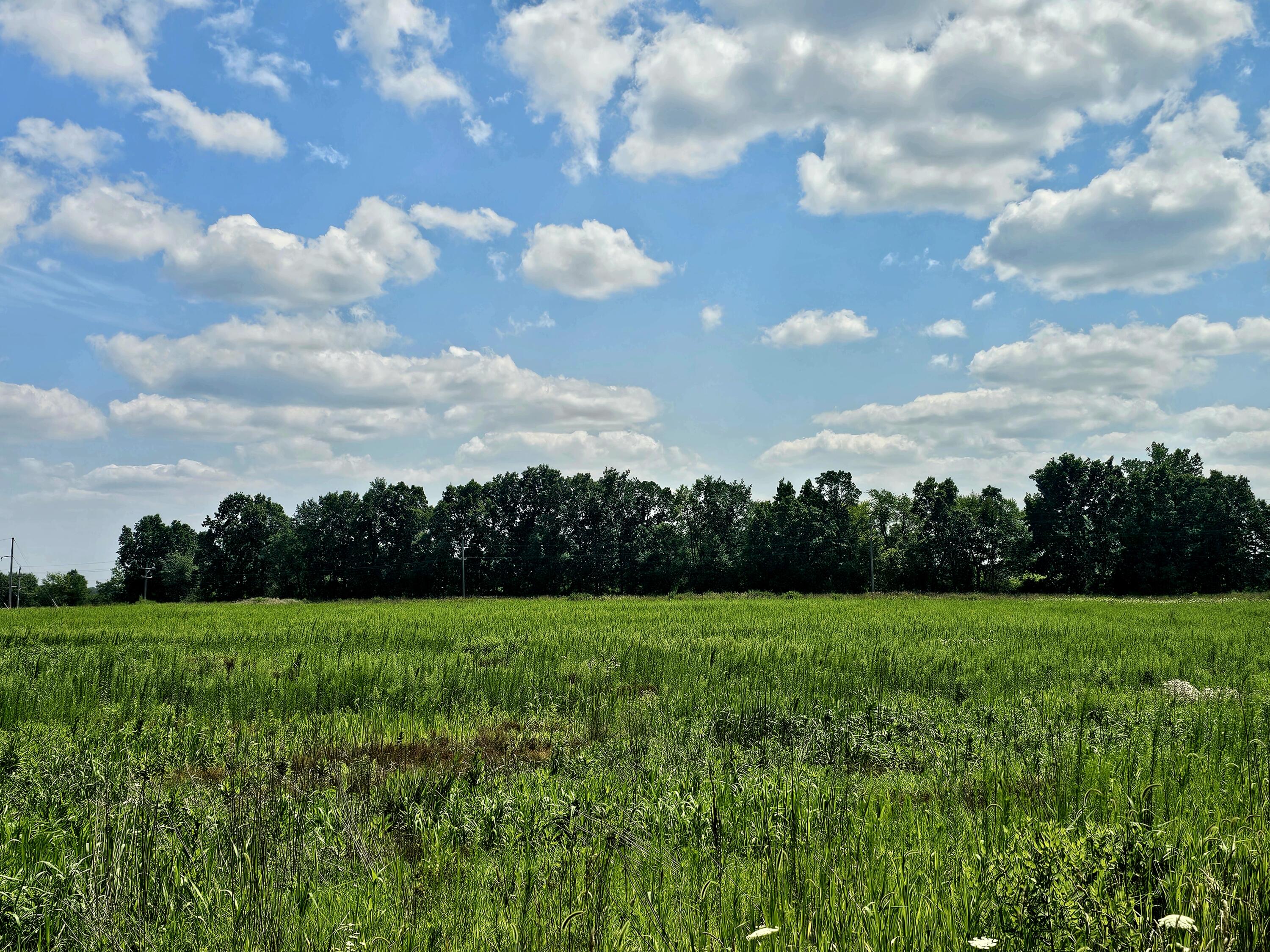 Vl West Carleton Road Jonesville, MI 49250 - Photo 18 of 29 1000026257