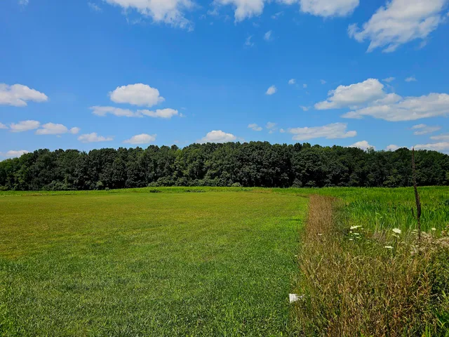 $1,850,000 | V/l West Carleton Road, Jonesville, MI 49250