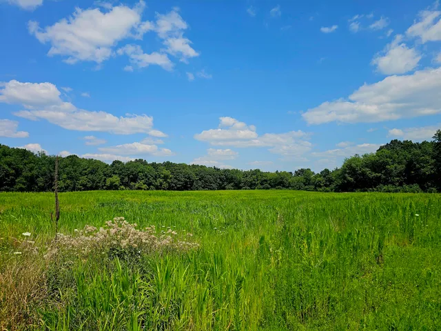 $1,850,000 | V/l West Carleton Road, Jonesville, MI 49250