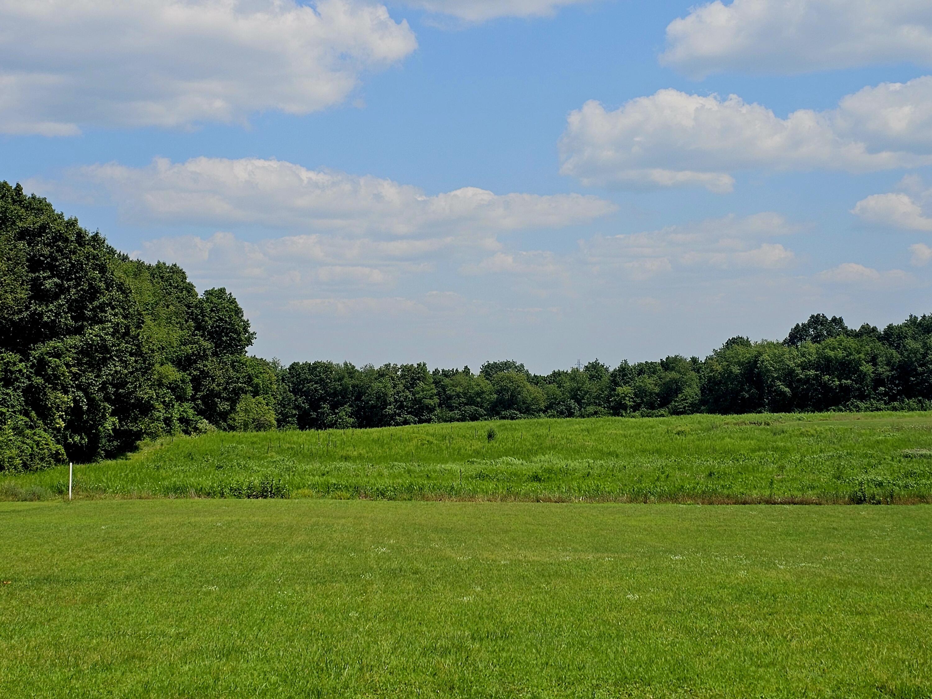 Vl West Carleton Road Jonesville, MI 49250 - Photo 24 of 29 1000026246
