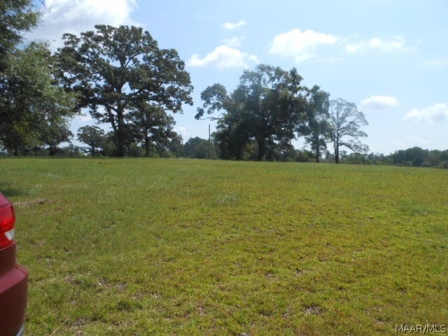 437 Grady Morgan Road Samson, AL 36477 - Photo 31 of 35 Gallery Image 31