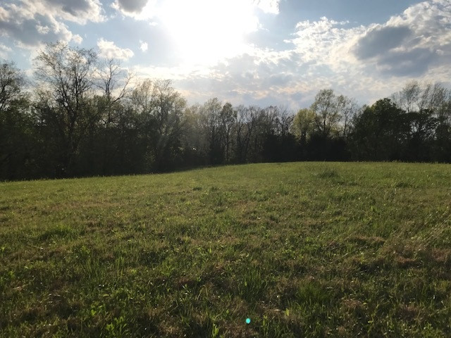 0 Drift Run Road Mount Olivet, KY 41064 - Photo 15 of 30 Gallery Image 15