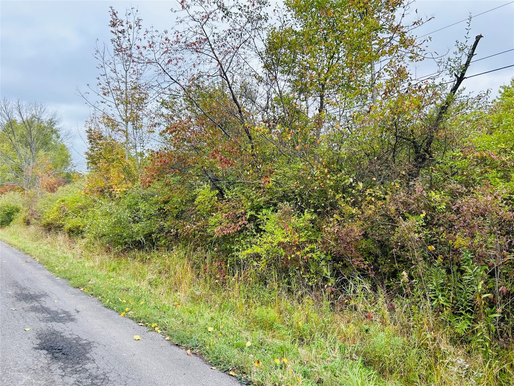 175 Springsteen Road Windsor, NY 13865 - Photo 1 of 4