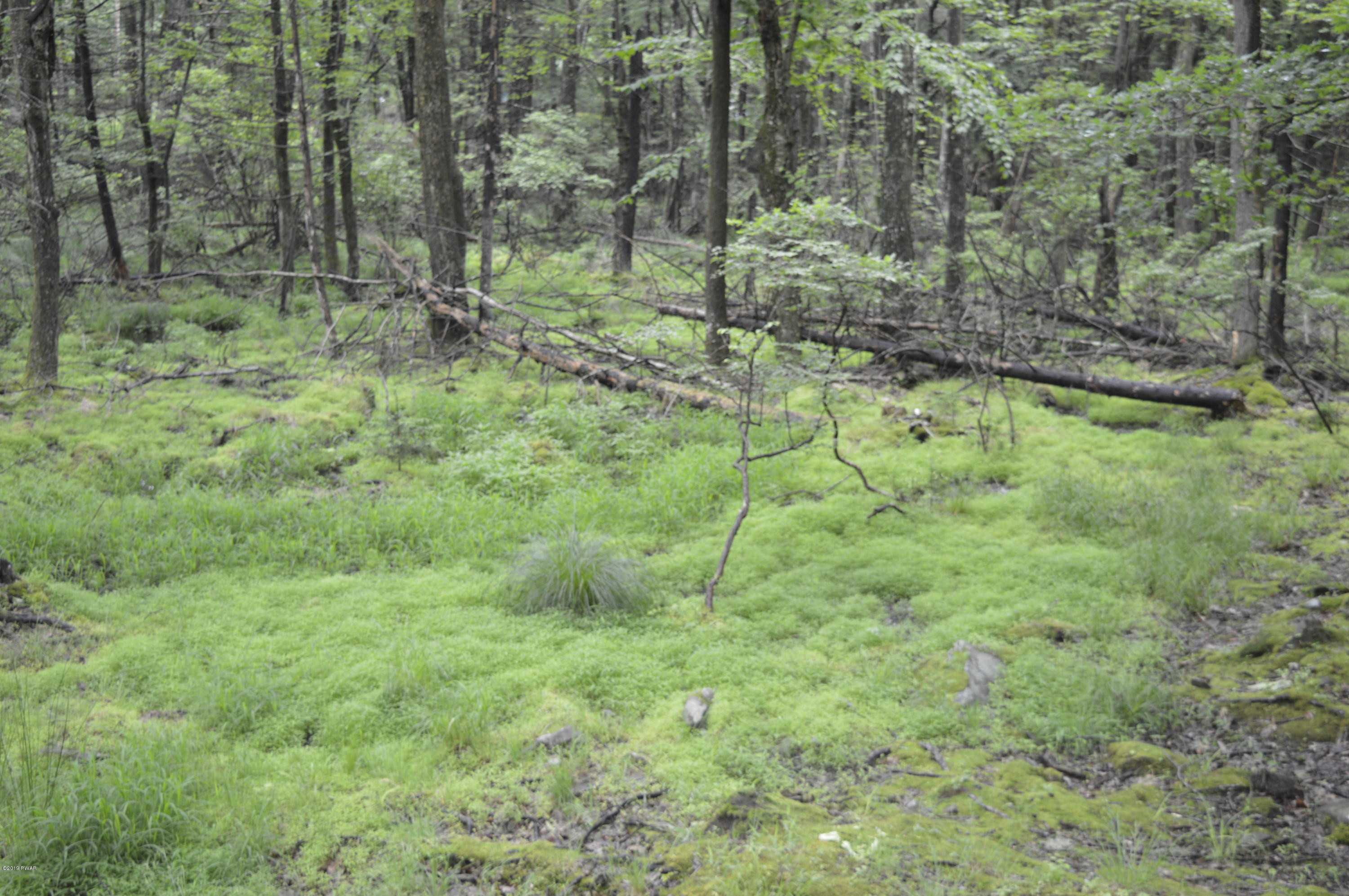 224 Ridge Drive Milford, PA 18337 - Photo 18 of 24 Over 1 acre PRIVATE