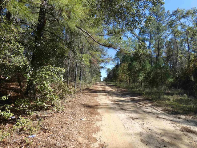$50,000 | Tbd East Meadow Road, Monticello, FL 32344