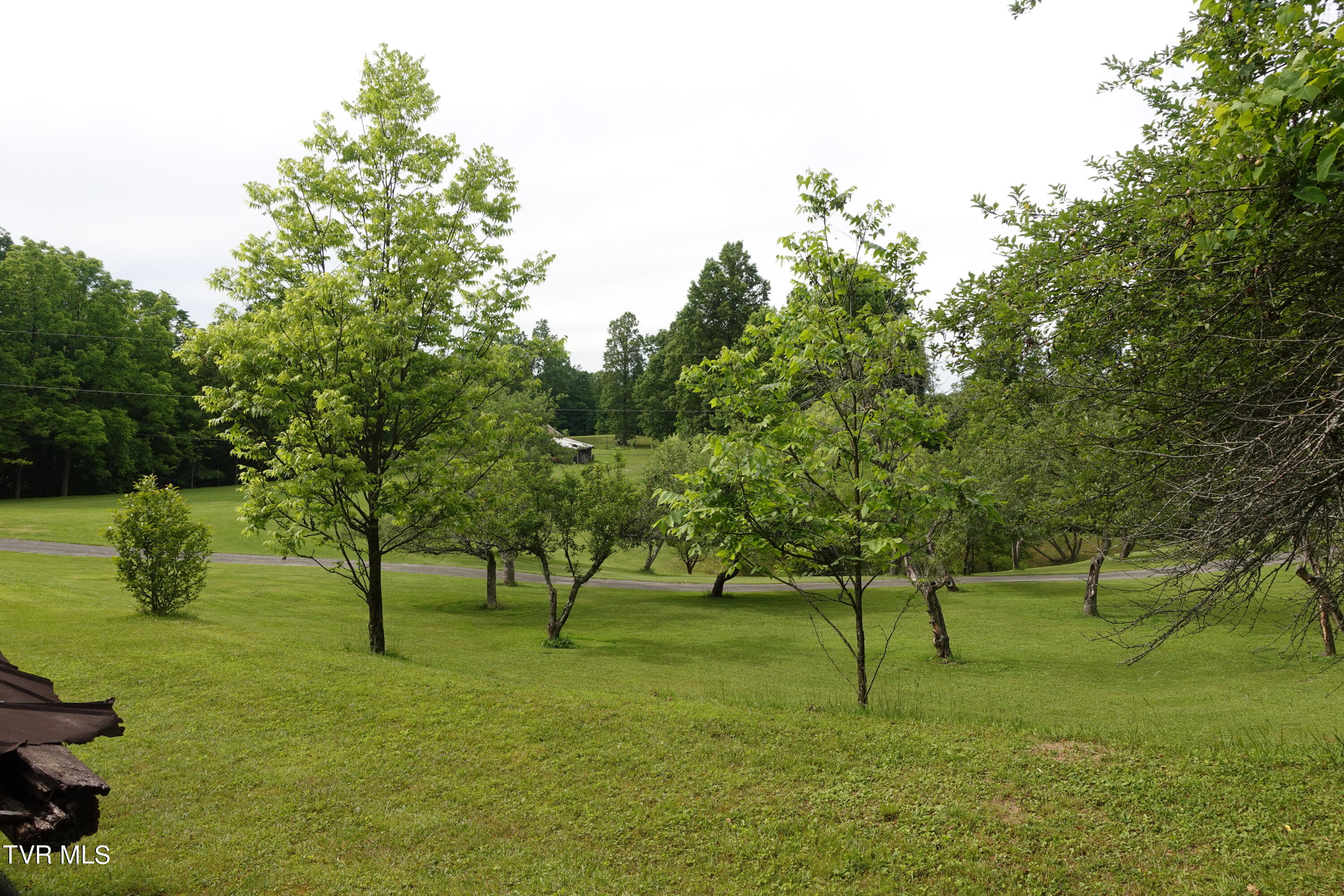 639 Dream Farm Road Birchleaf, VA 24220 - Photo 134 of 153 DSC00363