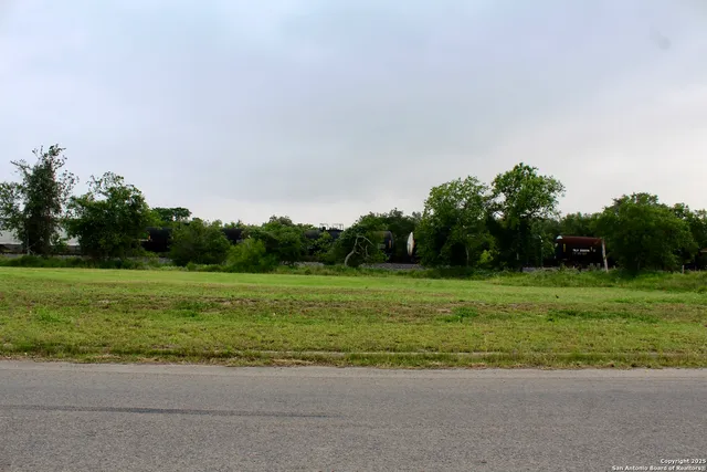 a view of a grassy field with trees