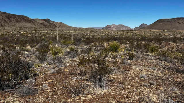 a view of a large body of water with a mountain in the background