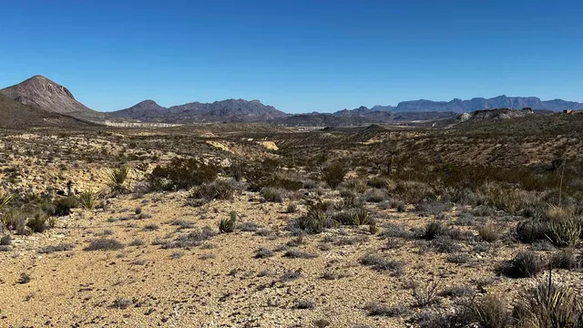 a view of a large building with a mountain in the background