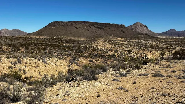 a view of a dry yard with mountains in the background