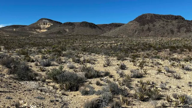 $30,000 | 24837 Echo, Terlingua, TX 79852