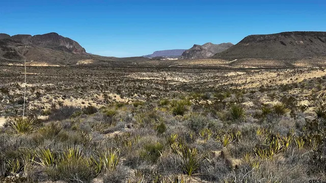 a view of a house with a mountain