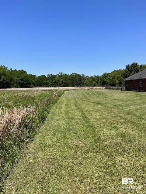 23141 Hill Road Silverhill, AL 36576 - Photo 4 of 7 View of yard