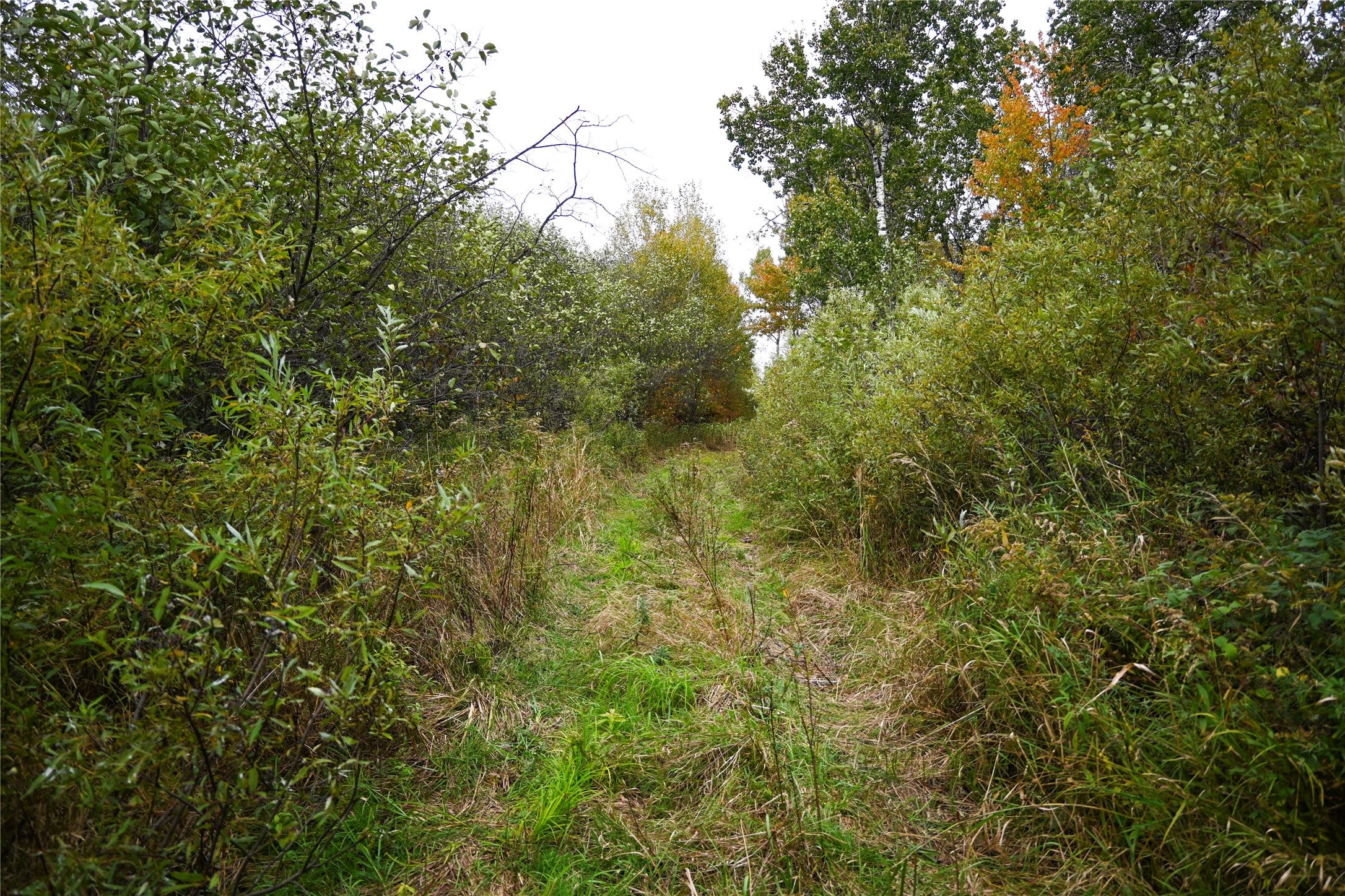 0 County Road Ogema, WI 54459 - Photo 29 of 38 Gallery Image 29