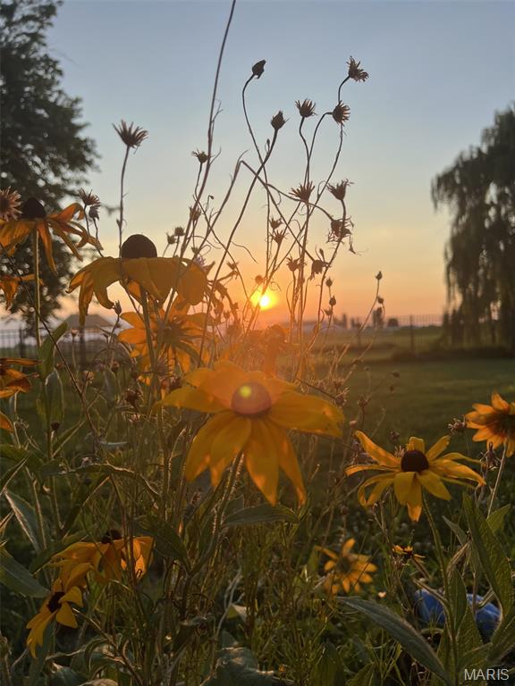 14119 St Rose Road Breese, IL 62230 - Photo 52 of 52