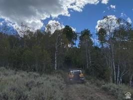 800 Homestead Road Road Cokeville, WY 83114 - Photo 19 of 49 Additional content