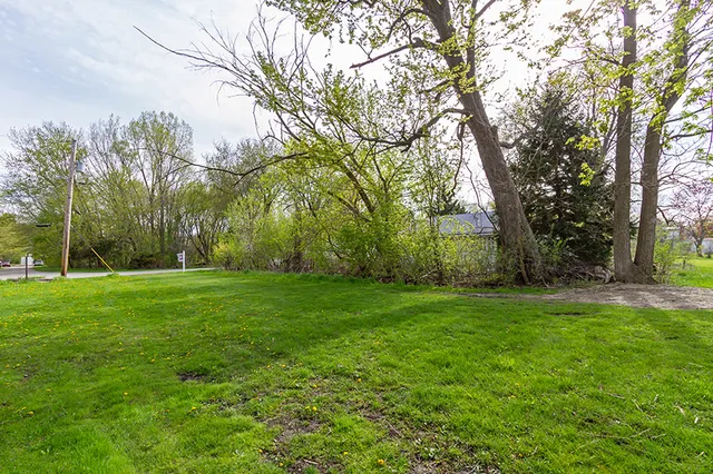 a view of a park with large trees