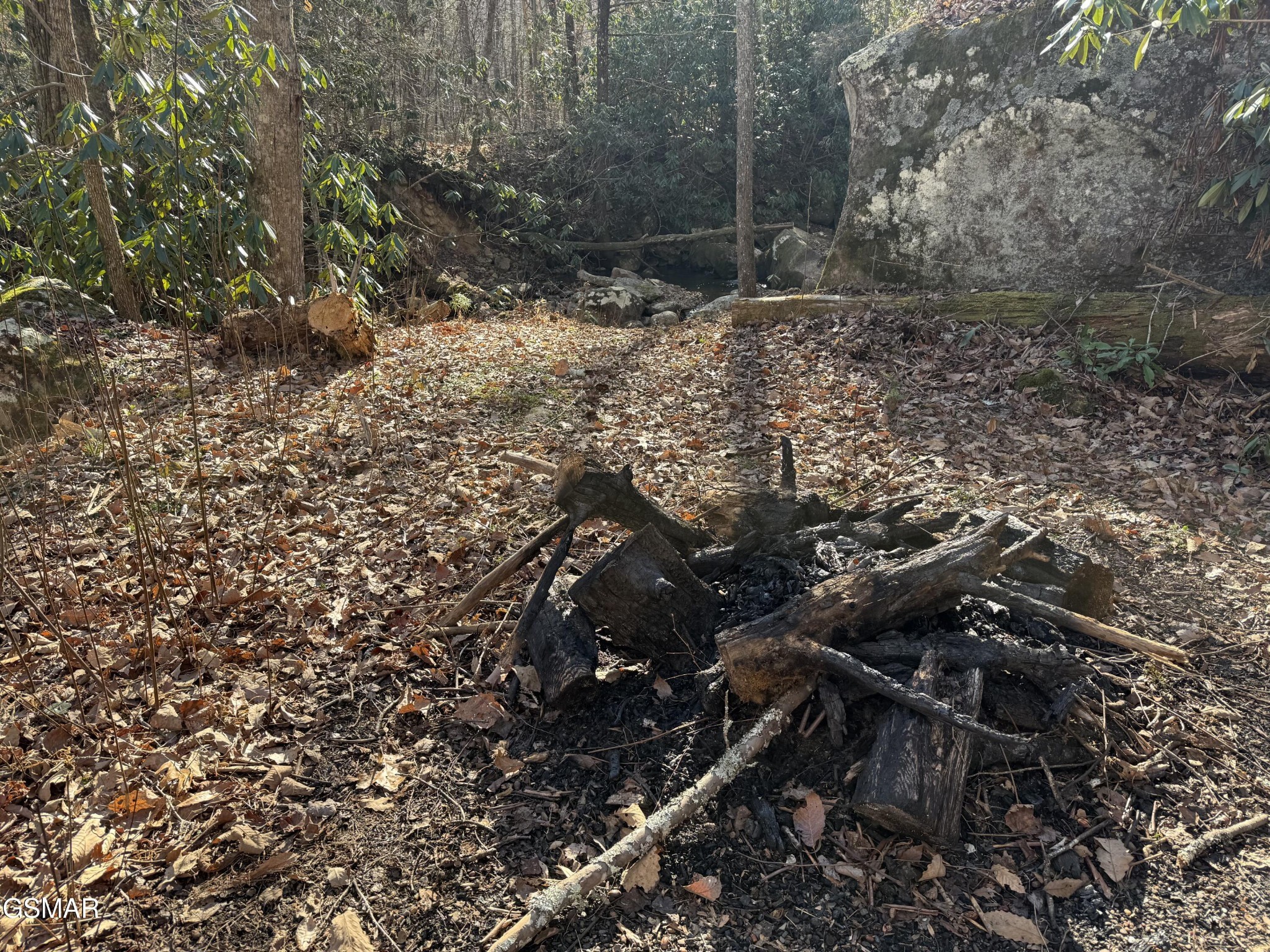 805 Bogard Crk Road Cosby, TN 37722 - Photo 17 of 21 Gallery Image 17