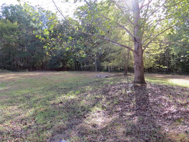 1649 Johnson Branch Road Pulaski, TN 38478 - Photo 10 of 13
