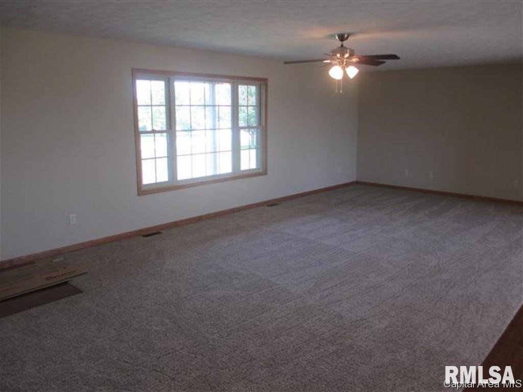 4 Trussell Road Jacksonville, IL 62650 - Photo 6 of 19