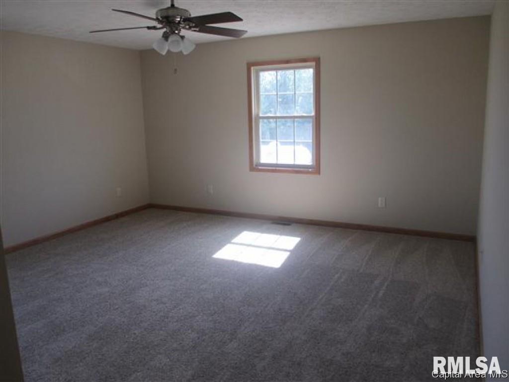 4 Trussell Road Jacksonville, IL 62650 - Photo 9 of 19