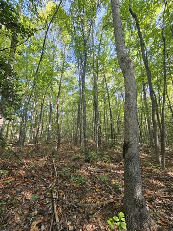 a view of outdoor space and green space