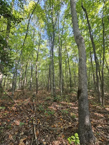 a view of outdoor space and green space