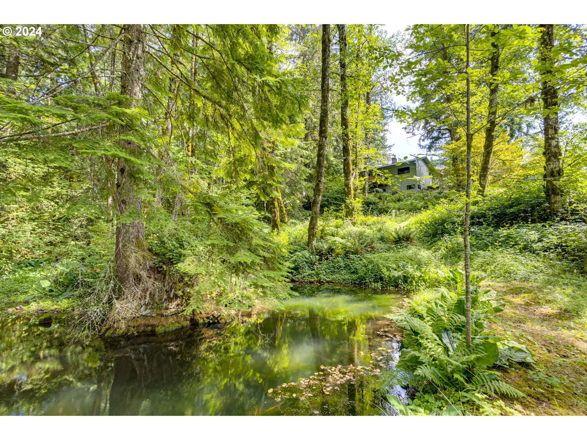 46755 Southeast George Road Estacada, OR 97023 - Photo 40 of 48 Gallery Image 40