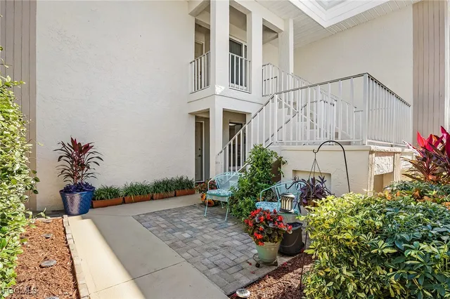 a potted plant sitting in front of a house