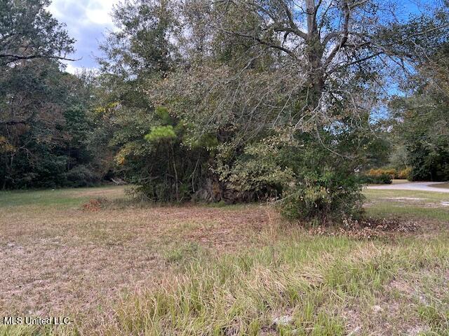 0 Red Creek Road Long Beach, MS 39560 - Photo 1 of 2 Front