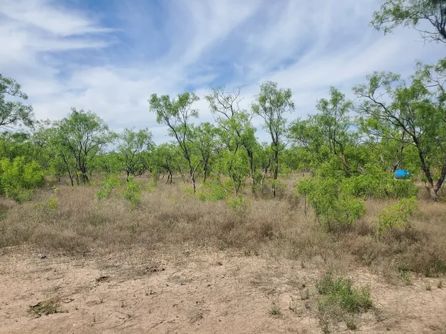 $290,655 | 524 South Trap Road, Unit MULT, Fort McKavett, TX 76841