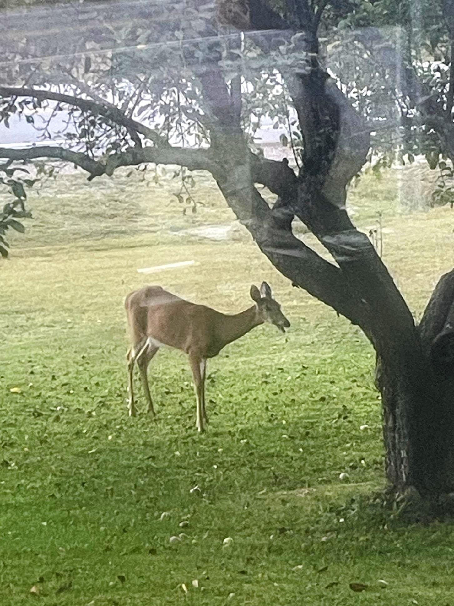 819 Eastside Road North Woodstock, NH 03262 - Photo 35 of 38