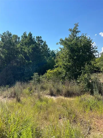 a view of a yard with a tree