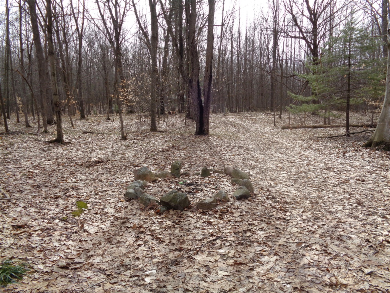 1127 South Saddler Road Chase, MI 49623 - Photo 5 of 8