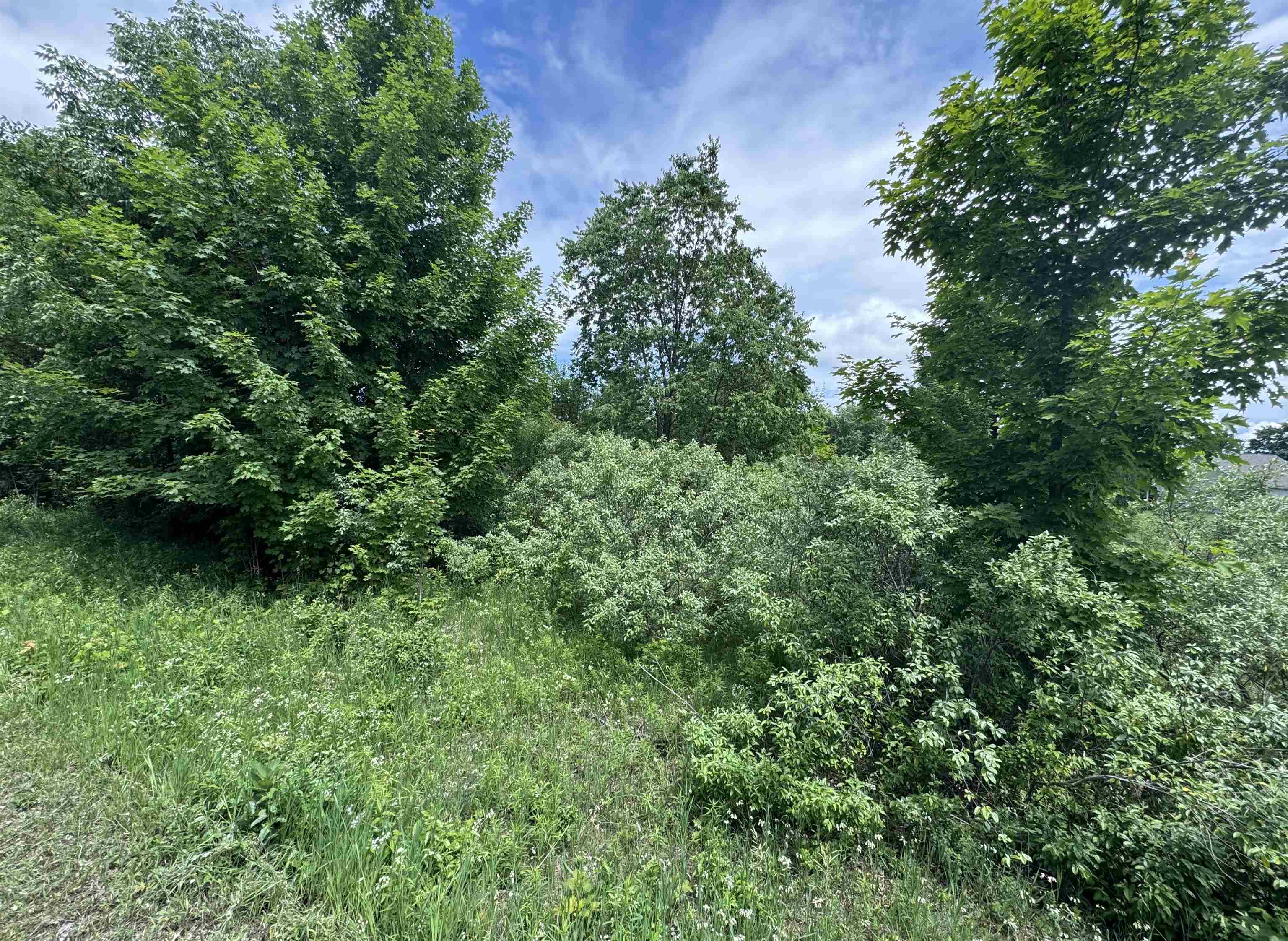 32 South Ski View Circle Cedar, MI 49621 - Photo 5 of 8