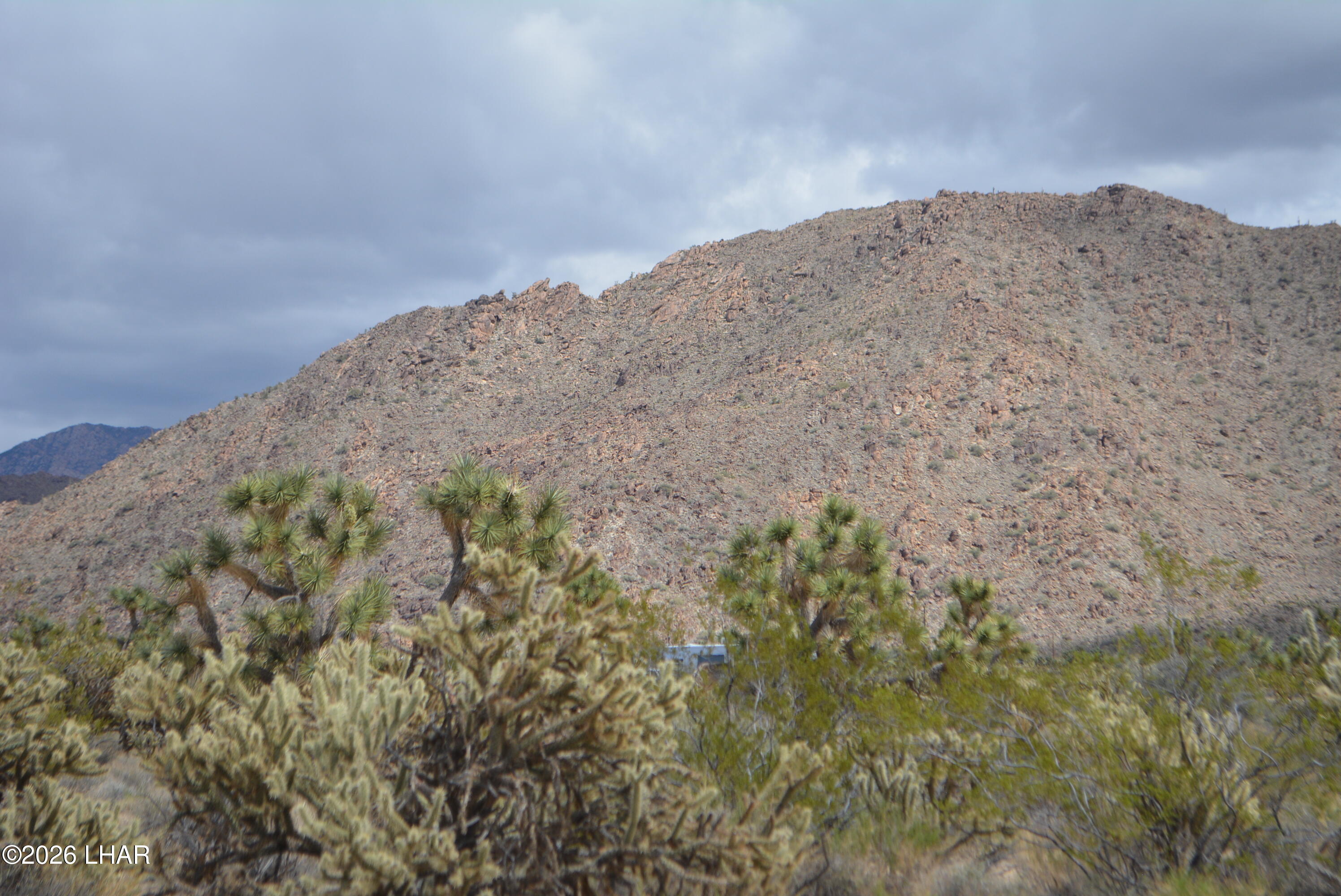 11900 Alan Road Yucca, AZ 86438 - Photo 62 of 93 DSC_1411