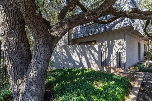 a couple of flower plants in front of house