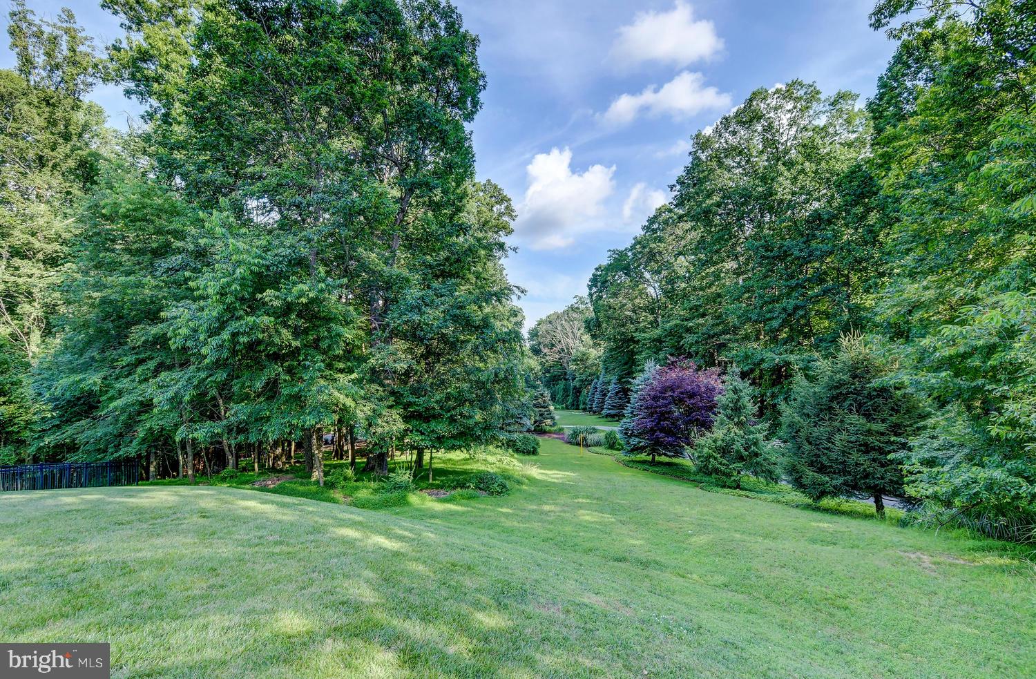 4004 Cloverland Drive Phoenix, MD 21131 - Photo 58 of 60 PROPERTY BACKS TO FOREST CONSERVATION