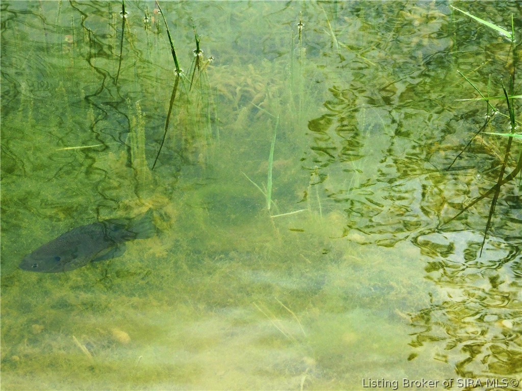 3737 West Thomastown Road Scottsburg, IN 47170 - Photo 18 of 33