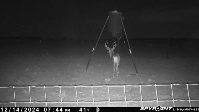 a black and white photo of a lake