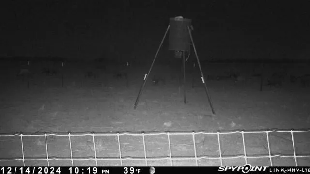 a black and white photo of a lake