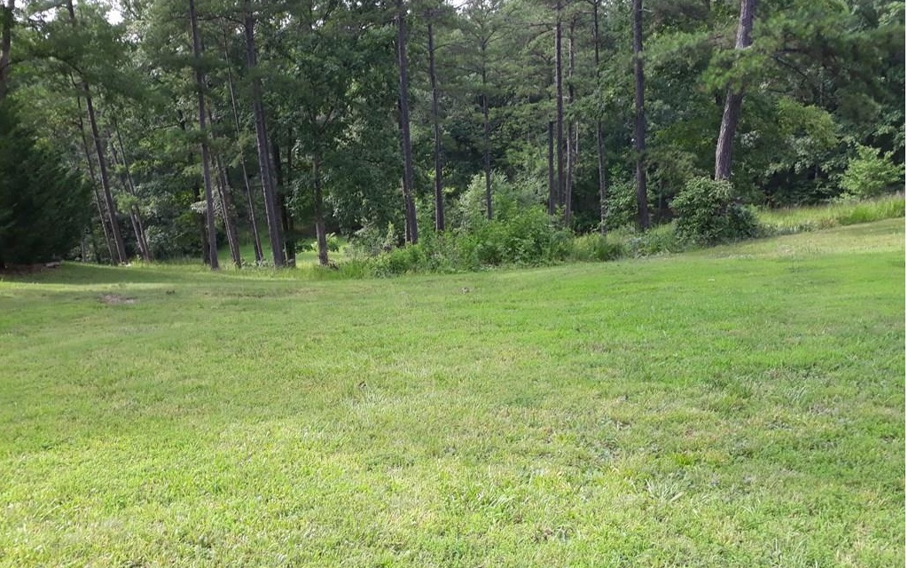 Lot 2 Old Evans Road Murphy, NC 28906 - Photo 1 of 4 a view of outdoor space and yard