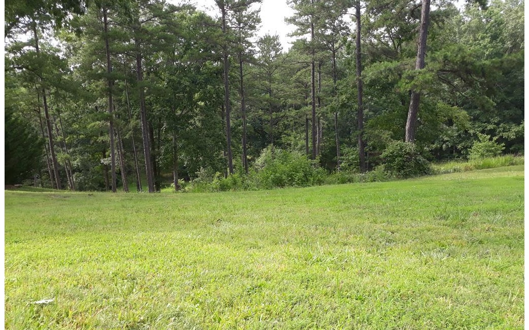 Lot 2 Old Evans Road Murphy, NC 28906 - Photo 2 of 4 a view of outdoor space with deck and yard