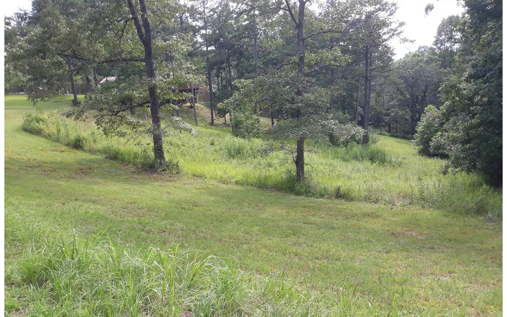 Lot 2 Old Evans Road Murphy, NC 28906 - Photo 3 of 4 a big yard with lots of green space and deers