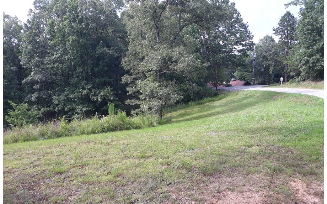 Lot 2 Old Evans Road Murphy, NC 28906 - Photo 4 of 4 a view of a field of grass and trees