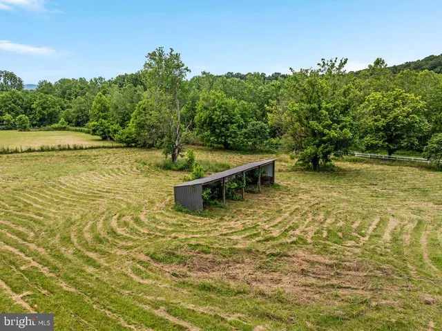 a view of a backyard with a swimming pool
