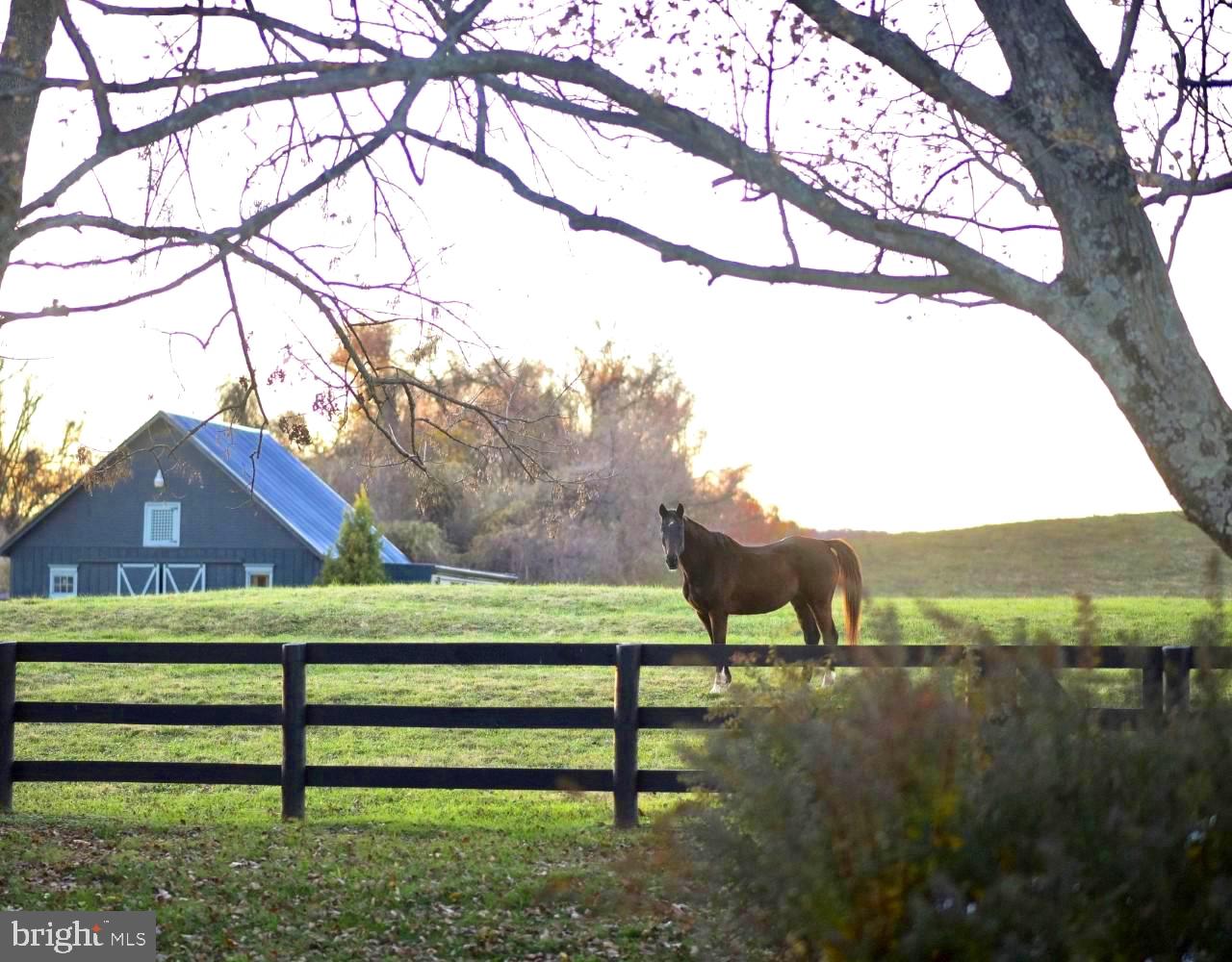 8478 Springs Road Warrenton, VA 20186 - Photo 3 of 45 Equestrian estate