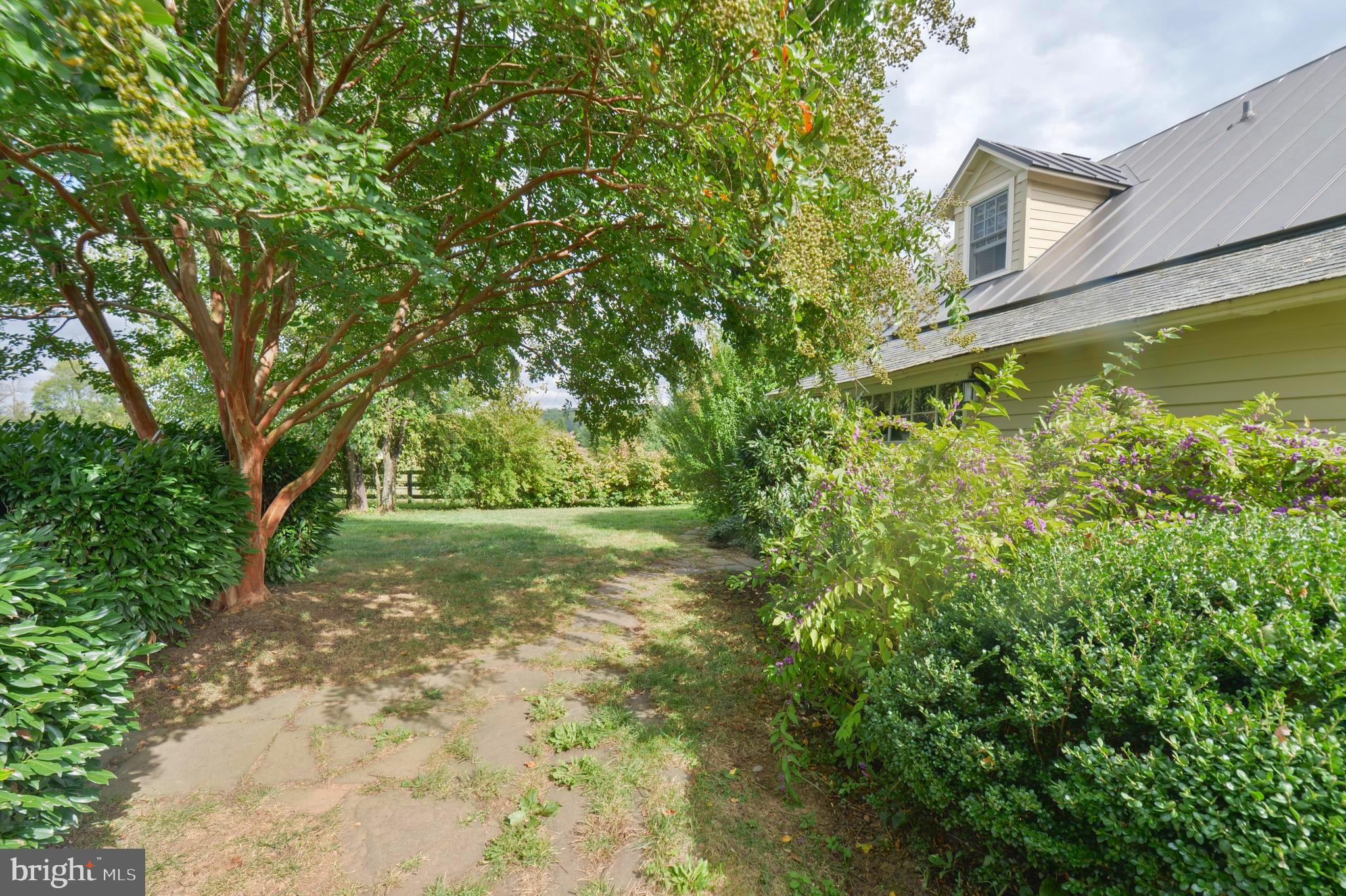 8478 Springs Road Warrenton, VA 20186 - Photo 26 of 45 Mature landscaping and boxwoods